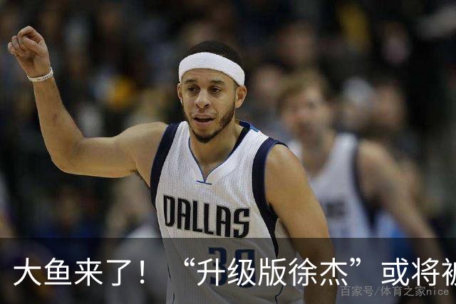 大鱼来了！“升级版徐杰”或将被广东队挖走，男篮近年来最强双能卫
